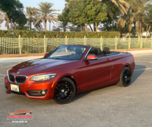 BMW 230i
